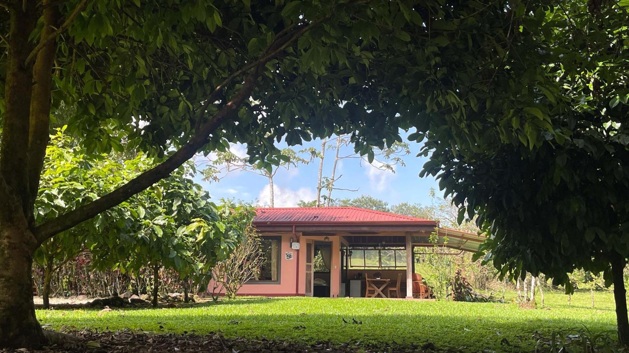 Mei Tai Cacao Lodge Bijagua Dış mekan fotoğraf