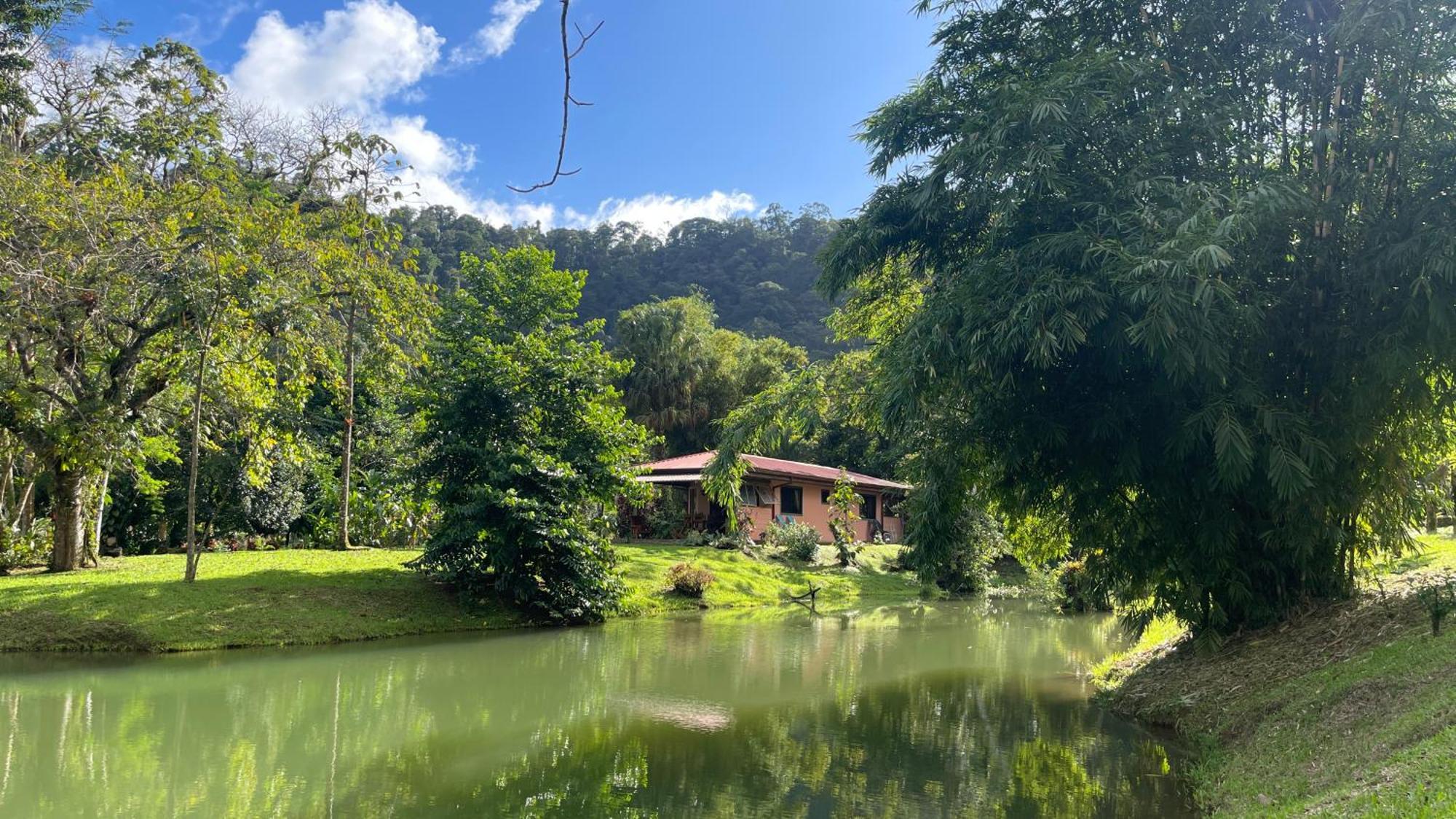Mei Tai Cacao Lodge Bijagua Dış mekan fotoğraf