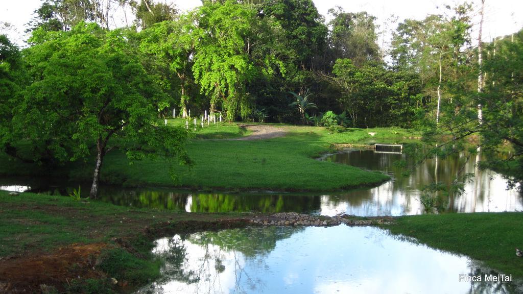 Mei Tai Cacao Lodge Bijagua Dış mekan fotoğraf
