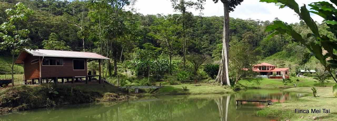 Mei Tai Cacao Lodge Bijagua Dış mekan fotoğraf