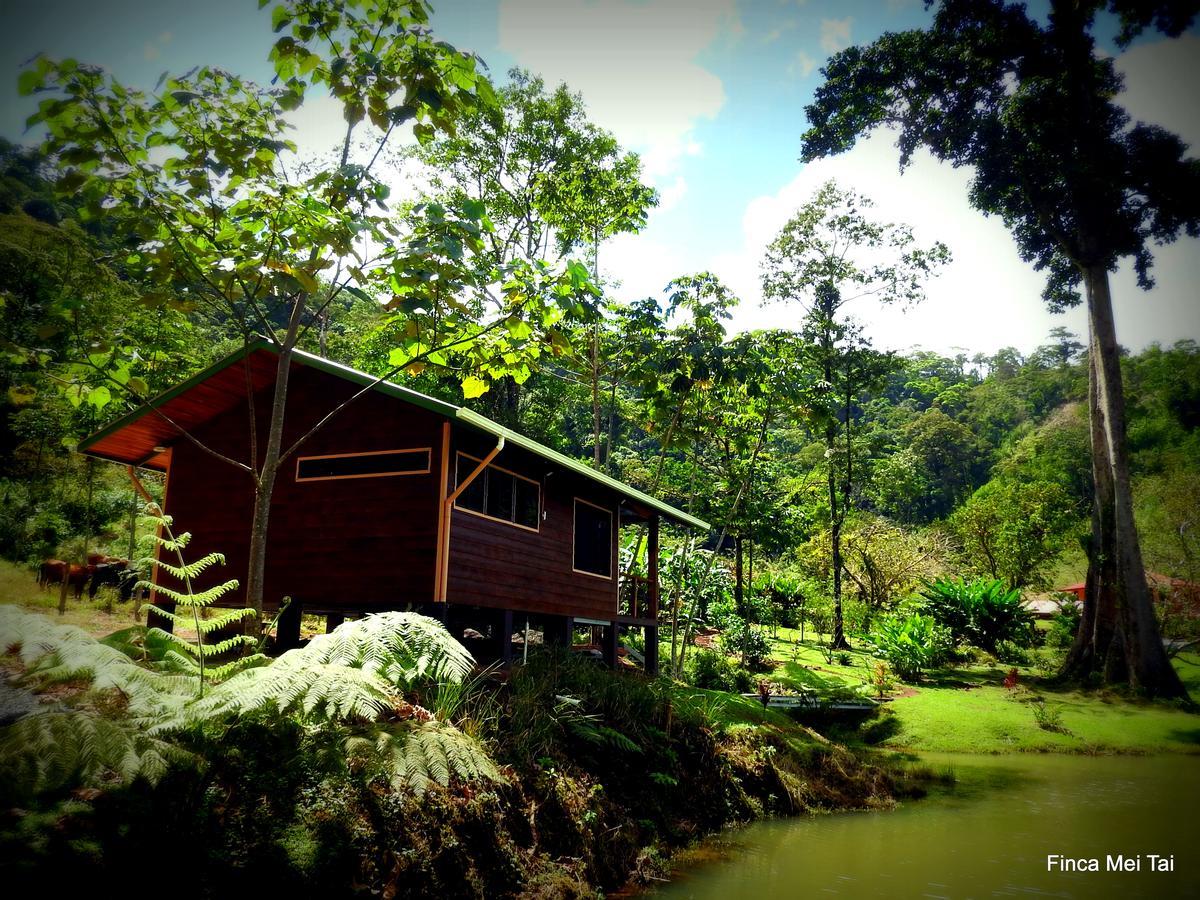 Mei Tai Cacao Lodge Bijagua Dış mekan fotoğraf