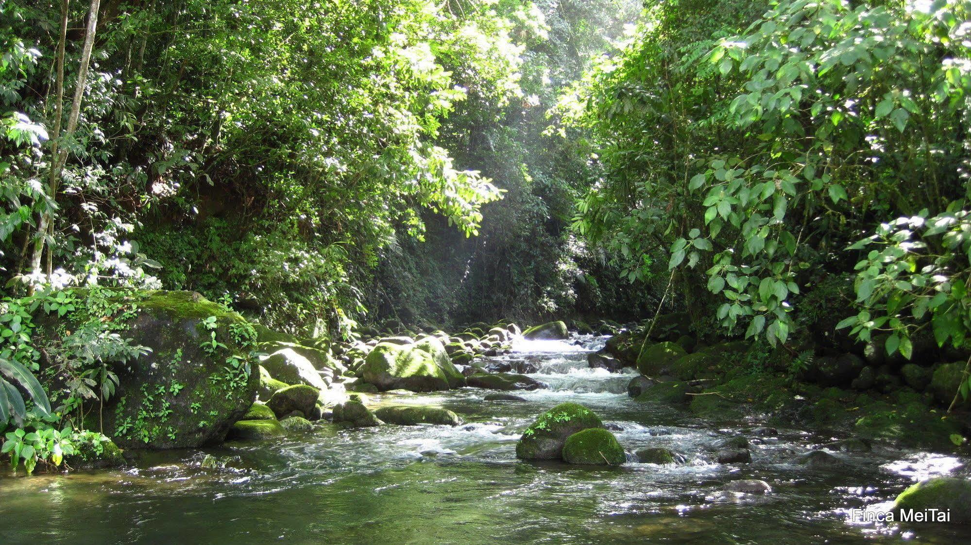 Mei Tai Cacao Lodge Bijagua Dış mekan fotoğraf
