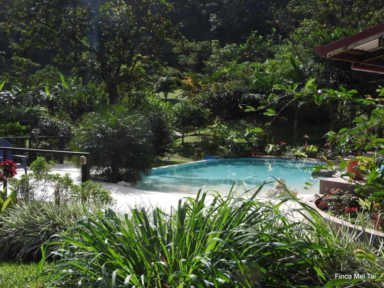 Mei Tai Cacao Lodge Bijagua Dış mekan fotoğraf